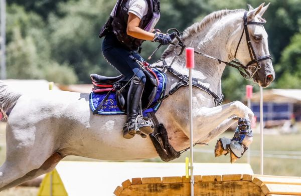 Bons plans matériel d'équitation 2025 : jusqu'à -70% sur 210 articles